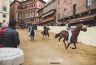 Palio Straordinario: la fotogallery delle Prove di Addestramento Mattutine